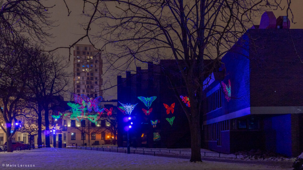 Del av evenemanget Drömljus i Helsingborg